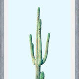 Cuadro Loner Cactus