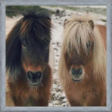 Cuadro Mini Horses in the Snow