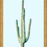 Cuadro Loner Cactus