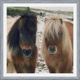 Cuadro Mini Horses in the Snow