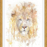 Cuadro Retrato de un León