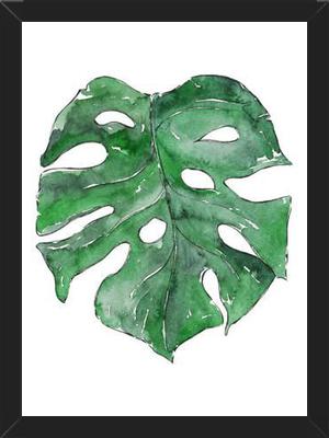 Cuadro Hoja Monstera