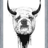 Cuadro Bulldog