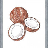 Cuadro COCONUTS