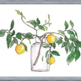 Cuadro Lemon Branch