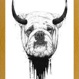 Cuadro Bulldog