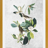 Cuadro Botanical print