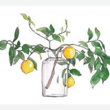 Cuadro Lemon Branch