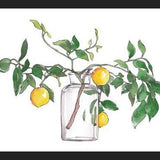 Cuadro Lemon Branch