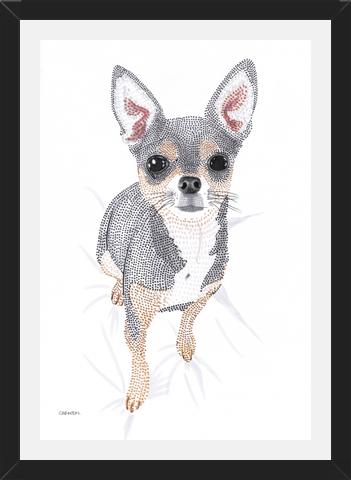 Cuadro Chihuahua