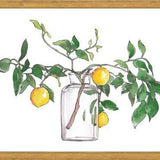 Cuadro Lemon Branch