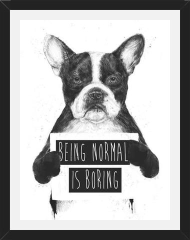 Cuadro Being normal is Boring
