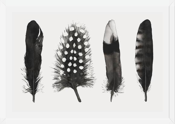 Cuadro Plumas Acuarela