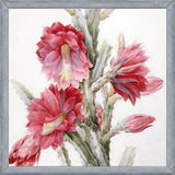 Cuadro Flor de Cactus 02