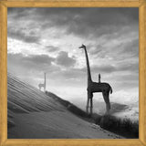 Cuadro Giraffes