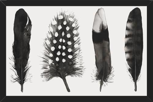 Cuadro Plumas Acuarela