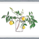 Cuadro Lemon Branch