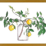 Cuadro Lemon Branch