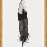 Cuadro Pluma Acuarela 2