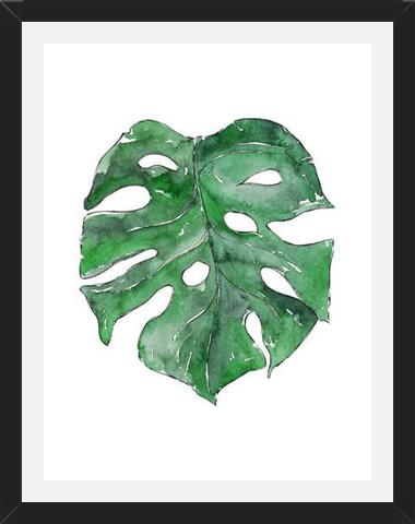 Cuadro Hoja Monstera