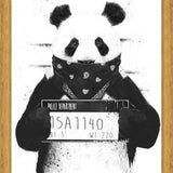 Cuadro Bad Panda