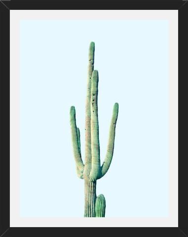 Cuadro Loner Cactus