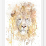 Cuadro Retrato de un León