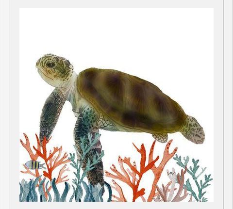 Cuadro Tortuga marina