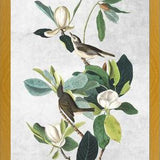 Cuadro Botanical print