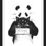 Cuadro Bad Panda