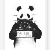 Cuadro Bad Panda