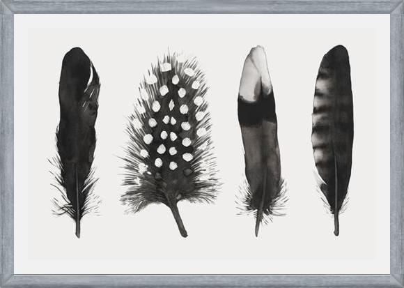 Cuadro Plumas Acuarela