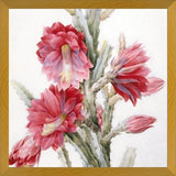 Cuadro Flor de Cactus 02