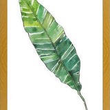 Cuadro HOJA DE PLATANO