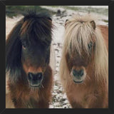 Cuadro Mini Horses in the Snow