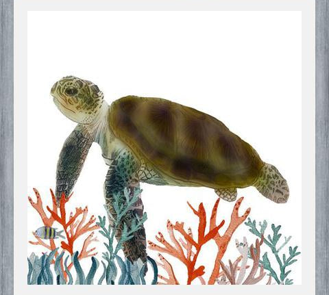 Cuadro Tortuga marina