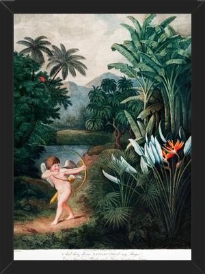 Cuadro Cupido
