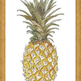 Cuadro PIÑA