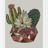 Cuadro Cactus