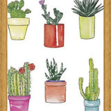 Cuadro CACTUS & PASTEL