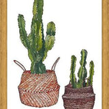 Cuadro Cactus