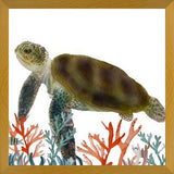 Cuadro Tortuga marina