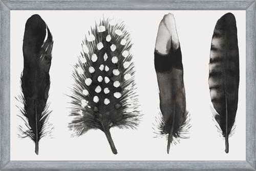 Cuadro Plumas Acuarela