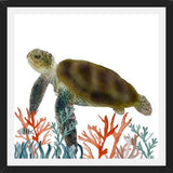 Cuadro Tortuga marina