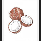 Cuadro COCONUTS