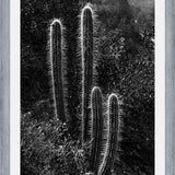 Cuadro Cactus Paisaje