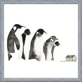 Cuadro Emperor penguin