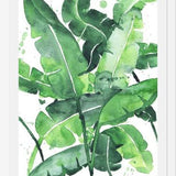 Cuadro Tropical Green 2