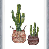 Cuadro Cactus