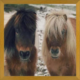 Cuadro Mini Horses in the Snow